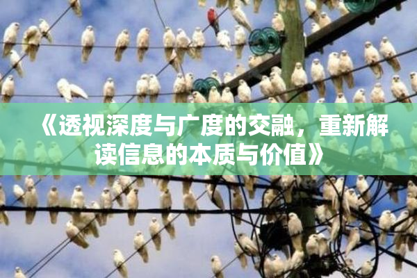 《透视深度与广度的交融，重新解读信息的本质与价值》