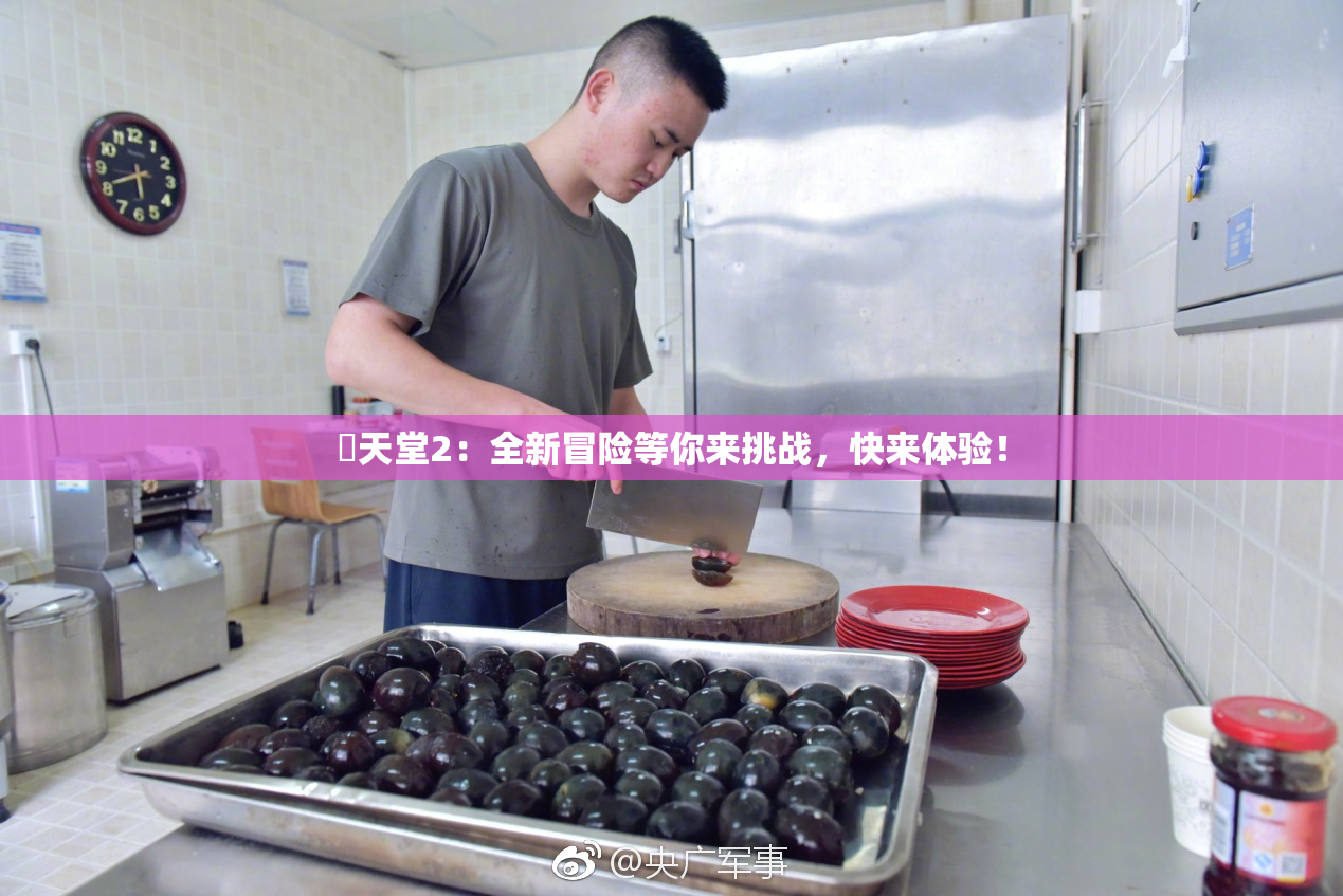 妺天堂2：全新冒险等你来挑战，快来体验！