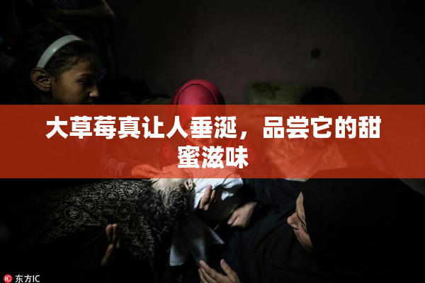 大草莓真让人垂涎，品尝它的甜蜜滋味
