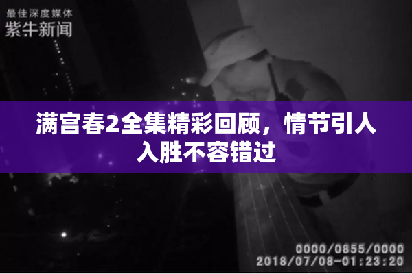 满宫春2全集精彩回顾，情节引人入胜不容错过
