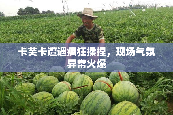 卡芙卡遭遇疯狂揉捏，现场气氛异常火爆