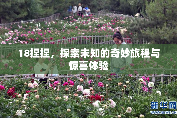 18捏捏，探索未知的奇妙旅程与惊喜体验