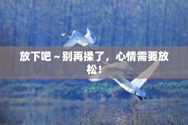 放下吧～别再揉了，心情需要放松！