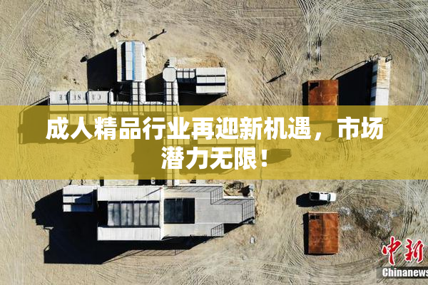 成人精品行业再迎新机遇，市场潜力无限！