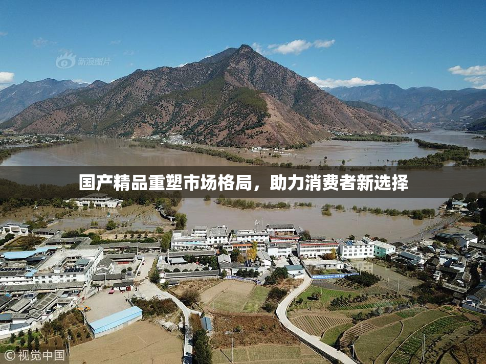国产精品重塑市场格局，助力消费者新选择