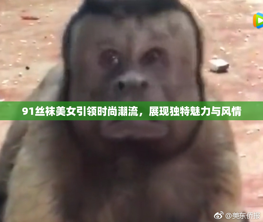 91丝袜美女引领时尚潮流，展现独特魅力与风情