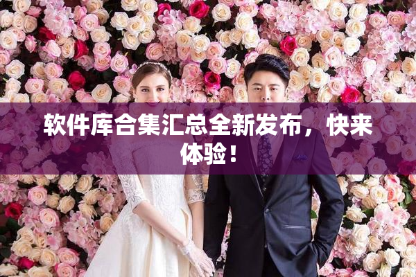 软件库合集汇总全新发布，快来体验！