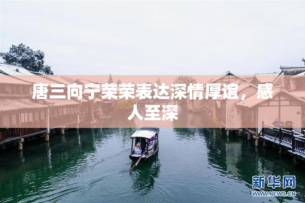 唐三向宁荣荣表达深情厚谊，感人至深