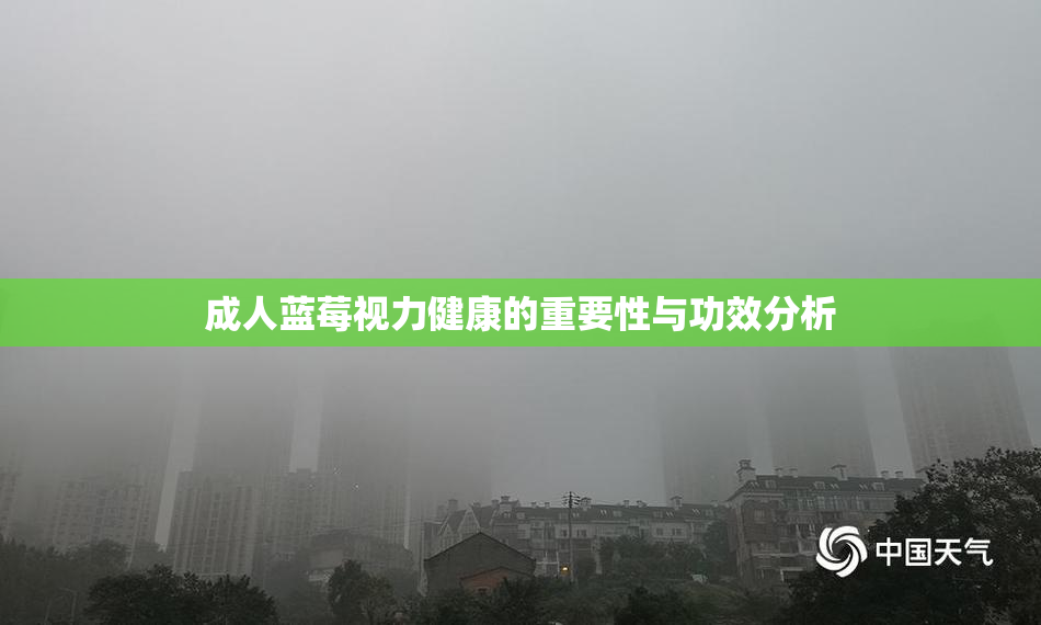 成人蓝莓视力健康的重要性与功效分析