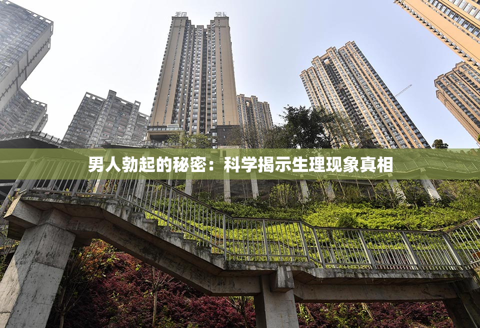 男人勃起的秘密：科学揭示生理现象真相