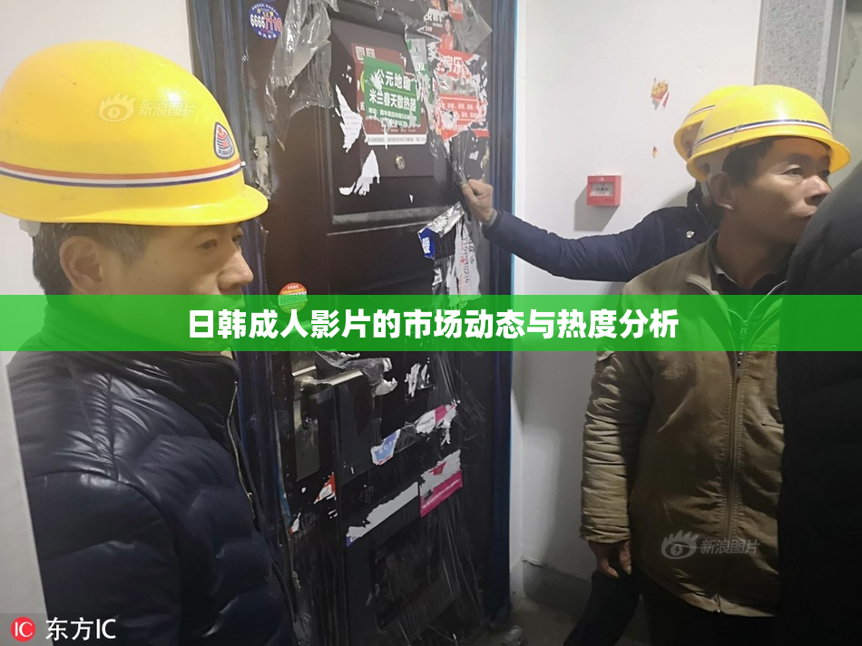 日韩成人影片的市场动态与热度分析