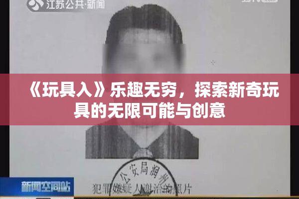 《玩具入》乐趣无穷，探索新奇玩具的无限可能与创意