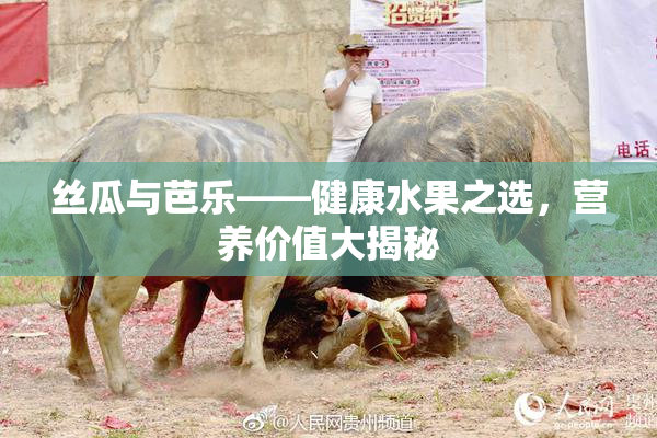 丝瓜与芭乐——健康水果之选，营养价值大揭秘