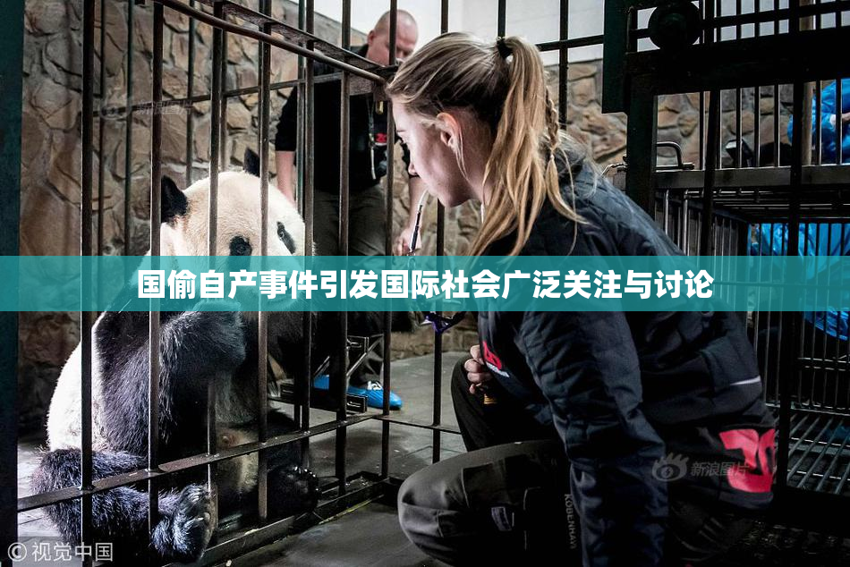 国偷自产事件引发国际社会广泛关注与讨论