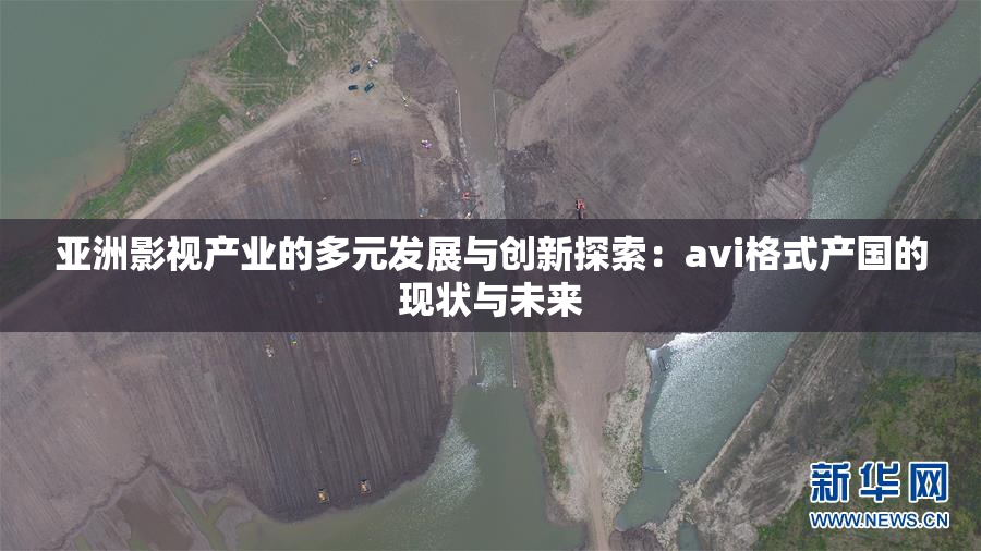 亚洲影视产业的多元发展与创新探索：avi格式产国的现状与未来