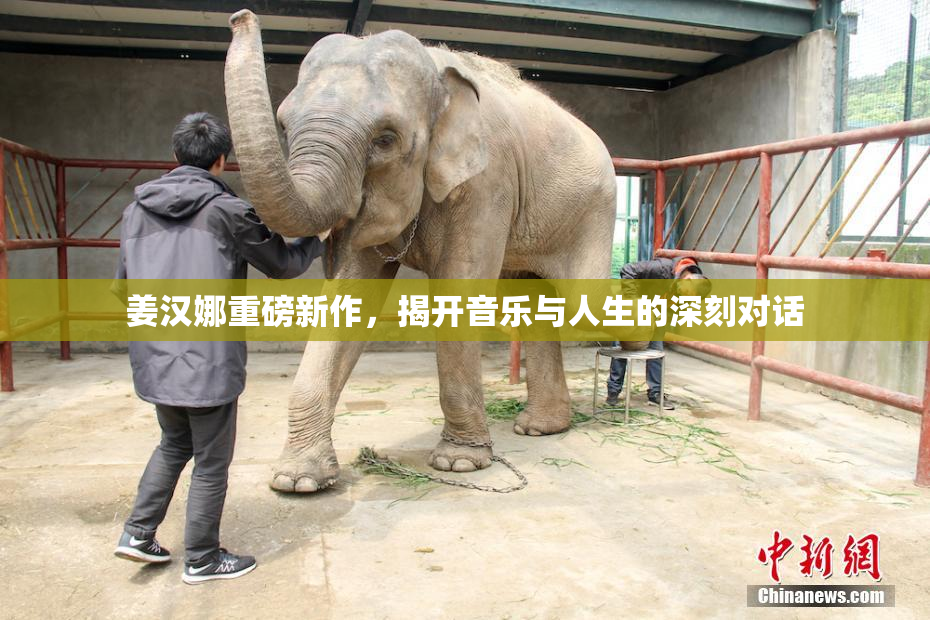 姜汉娜重磅新作，揭开音乐与人生的深刻对话