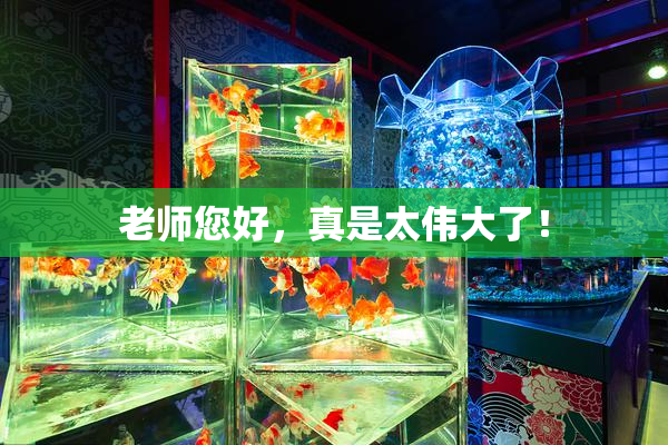 老师您好，真是太伟大了！