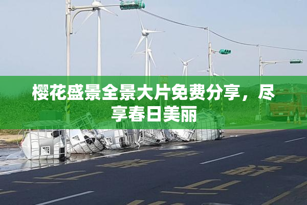 樱花盛景全景大片免费分享，尽享春日美丽