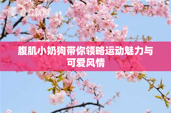 腹肌小奶狗带你领略运动魅力与可爱风情