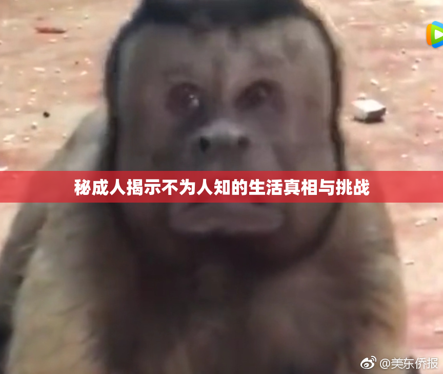秘成人揭示不为人知的生活真相与挑战