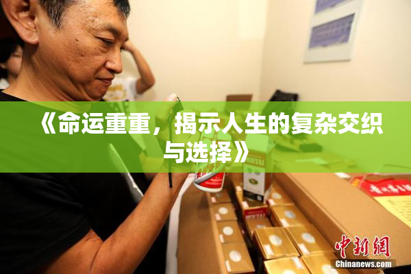《命运重重，揭示人生的复杂交织与选择》