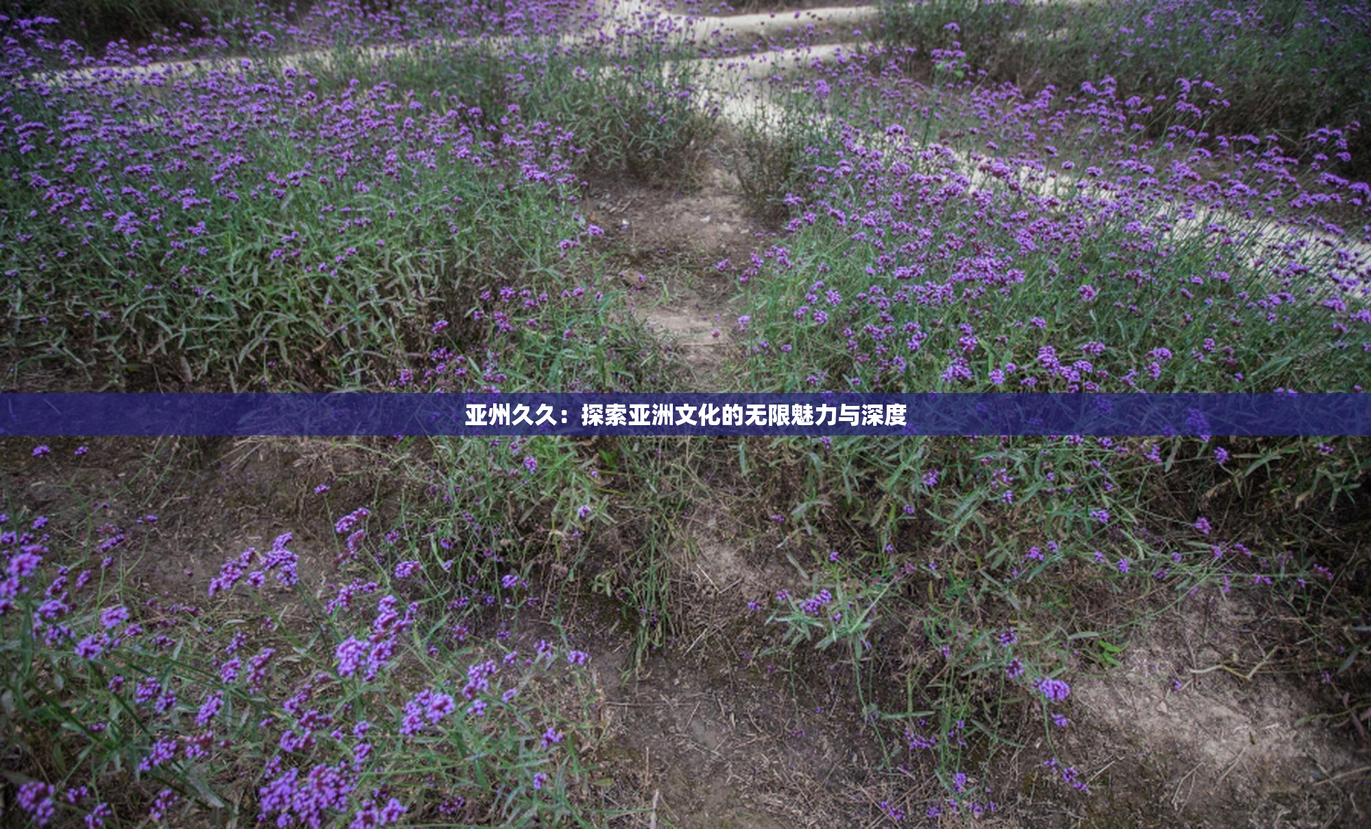 亚州久久：探索亚洲文化的无限魅力与深度