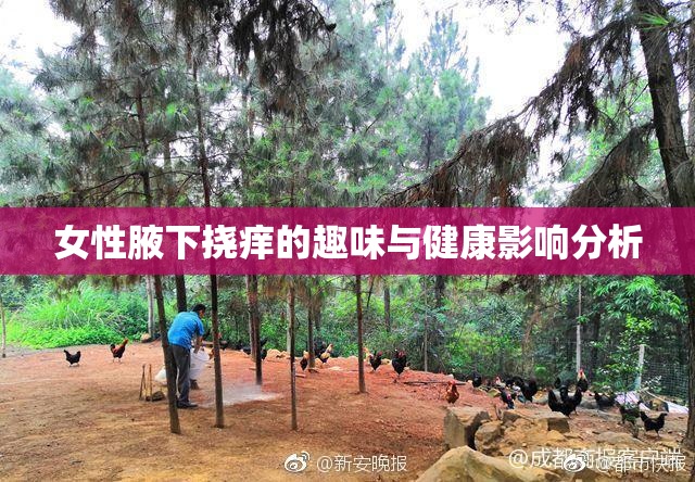 女性腋下挠痒的趣味与健康影响分析