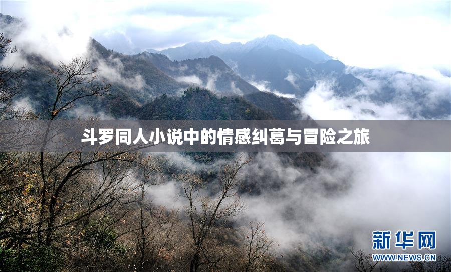 斗罗同人小说中的情感纠葛与冒险之旅