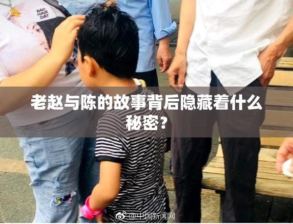 老赵与陈的故事背后隐藏着什么秘密？