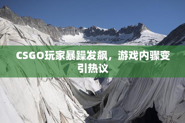 CSGO玩家暴躁发飙，游戏内骤变引热议