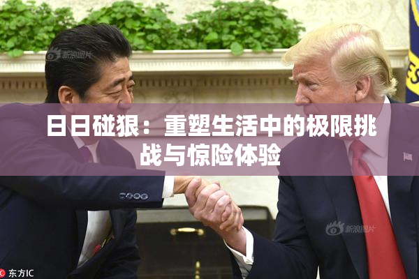 日日碰狠：重塑生活中的极限挑战与惊险体验