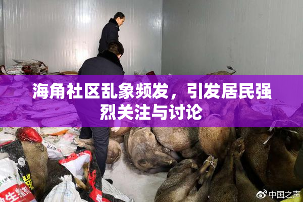 海角社区乱象频发，引发居民强烈关注与讨论