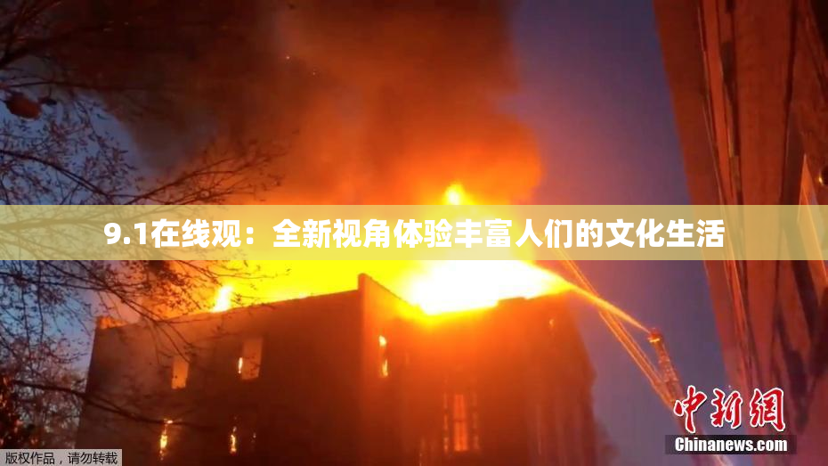 9.1在线观：全新视角体验丰富人们的文化生活