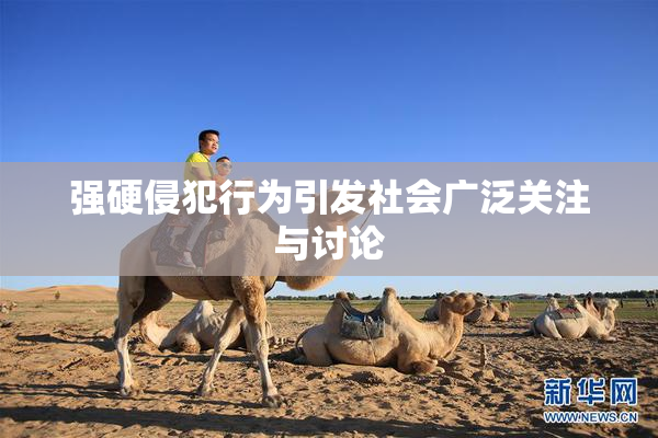 强硬侵犯行为引发社会广泛关注与讨论