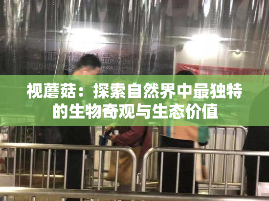 视蘑菇：探索自然界中最独特的生物奇观与生态价值