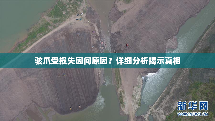 骇爪受损失因何原因？详细分析揭示真相