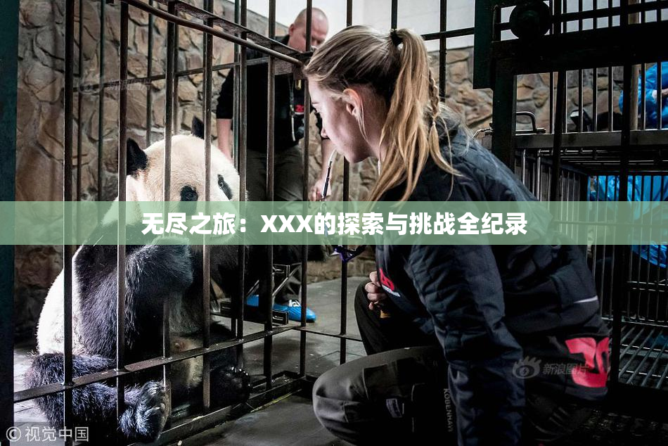 无尽之旅：XXX的探索与挑战全纪录