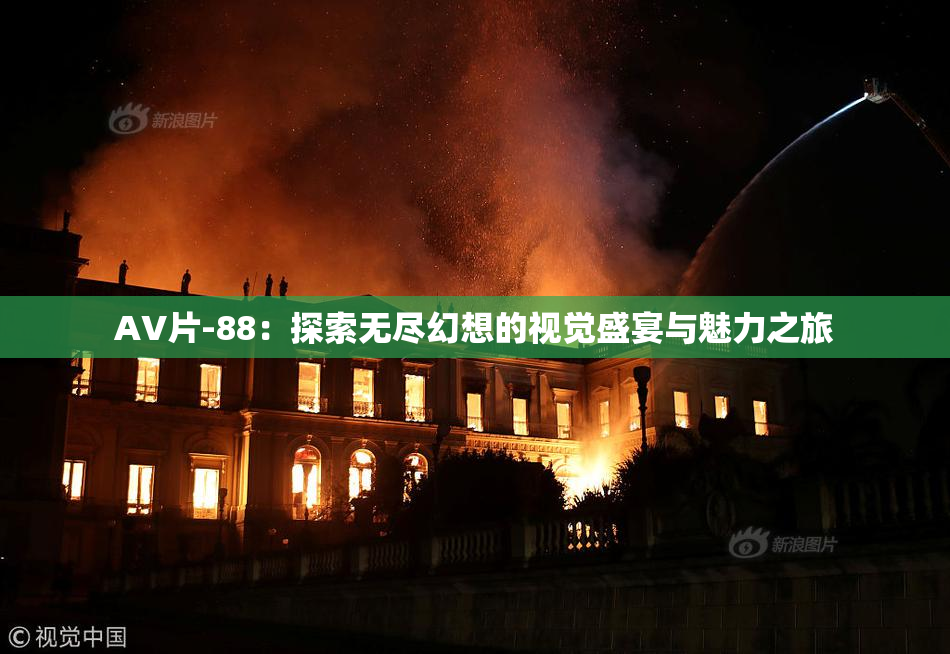 AV片-88：探索无尽幻想的视觉盛宴与魅力之旅