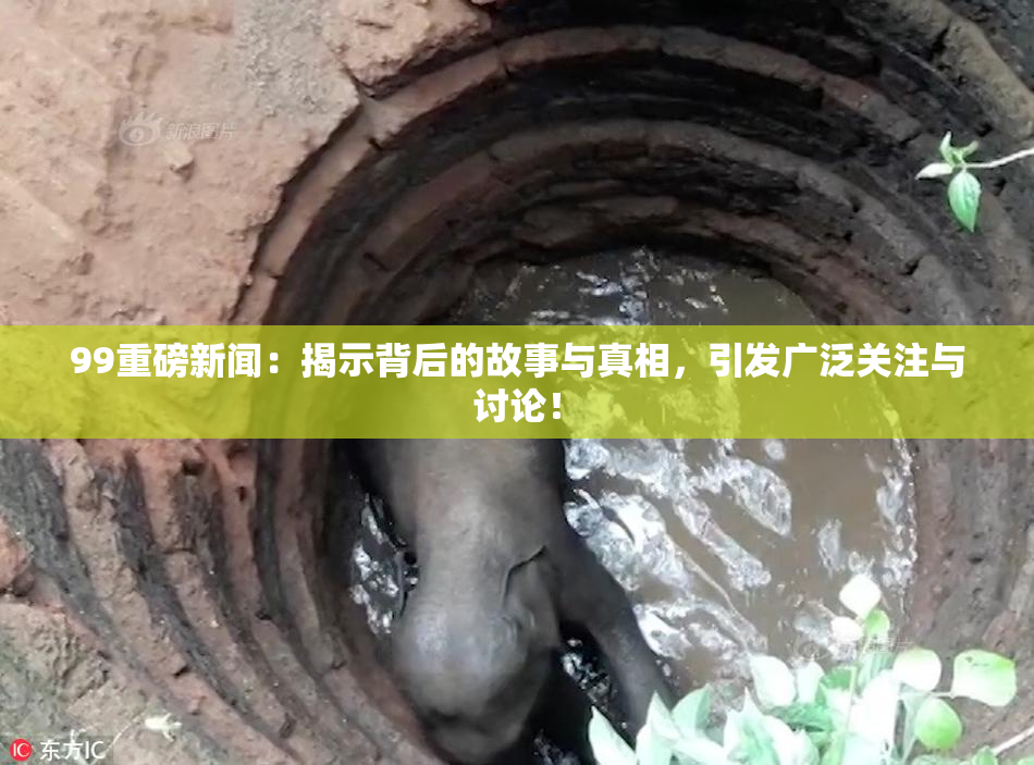 99重磅新闻：揭示背后的故事与真相，引发广泛关注与讨论！