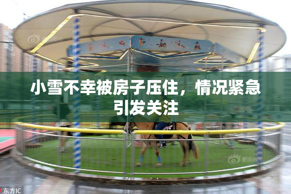 小雪不幸被房子压住，情况紧急引发关注