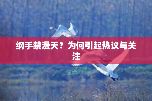 纲手禁漫天？为何引起热议与关注