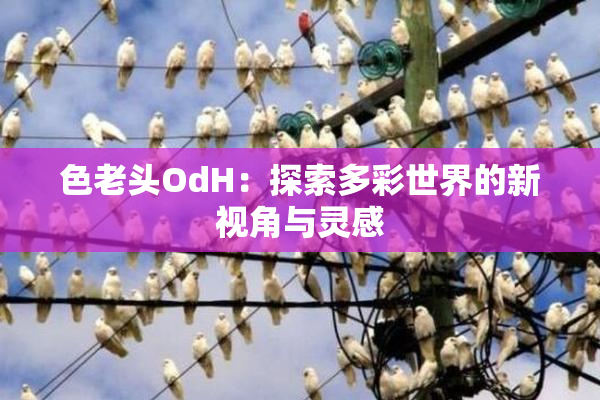 色老头OdH：探索多彩世界的新视角与灵感