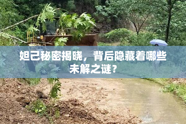 妲己秘密揭晓，背后隐藏着哪些未解之谜？