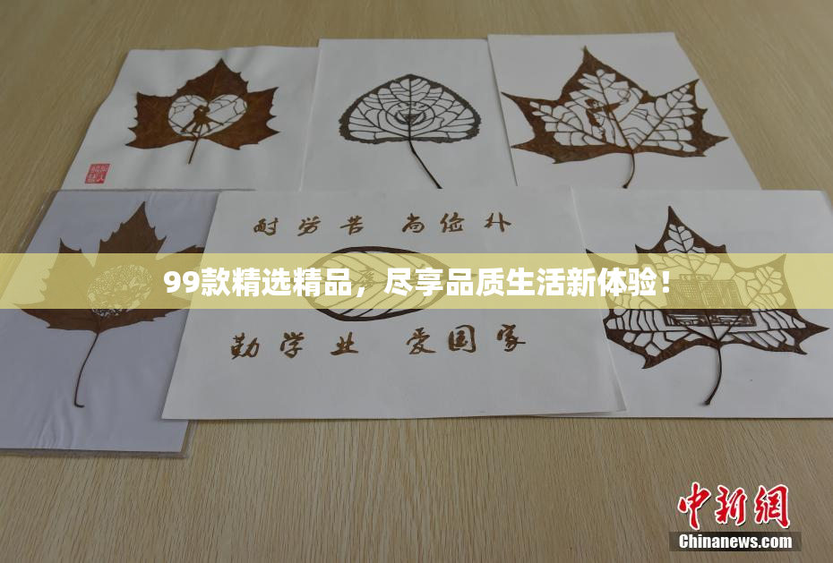 99款精选精品，尽享品质生活新体验！