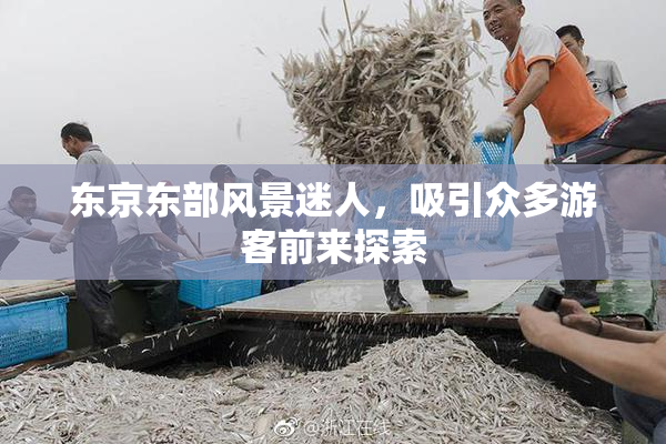 东京东部风景迷人，吸引众多游客前来探索