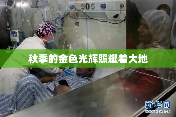 秋季的金色光辉照耀着大地