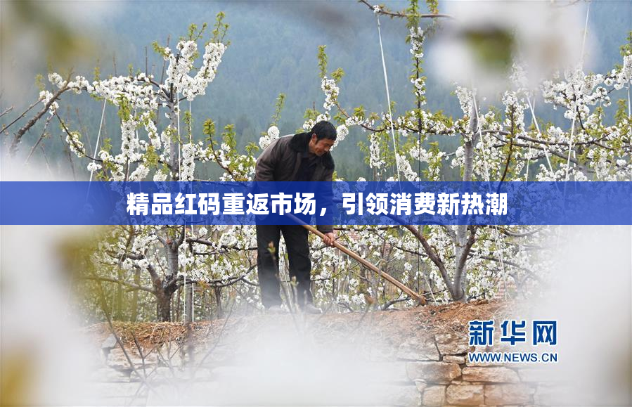 精品红码重返市场，引领消费新热潮