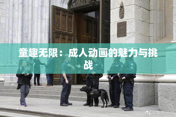 童趣无限：成人动画的魅力与挑战