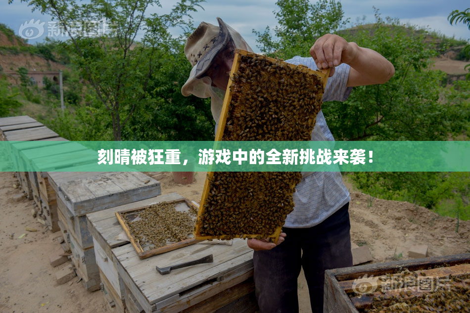 刻晴被狂重，游戏中的全新挑战来袭！