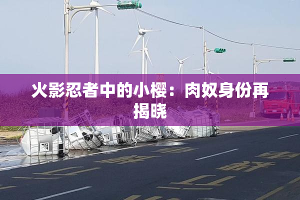 火影忍者中的小樱：肉奴身份再揭晓